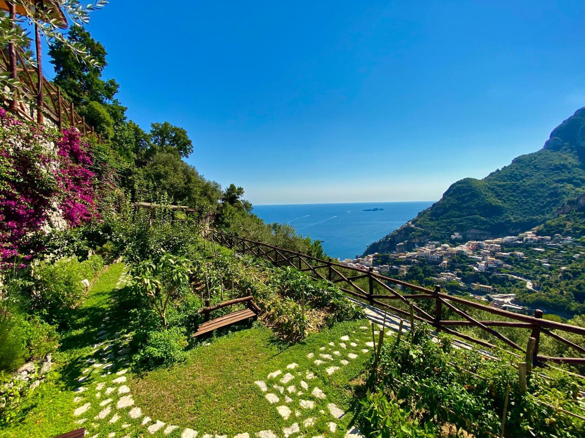 Villa Graziella Positano "A Piece Of Paradise" Eksteriør billede